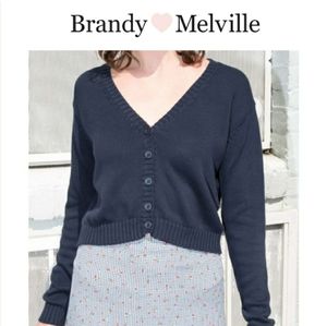 Brandy Melville navy billie sweater